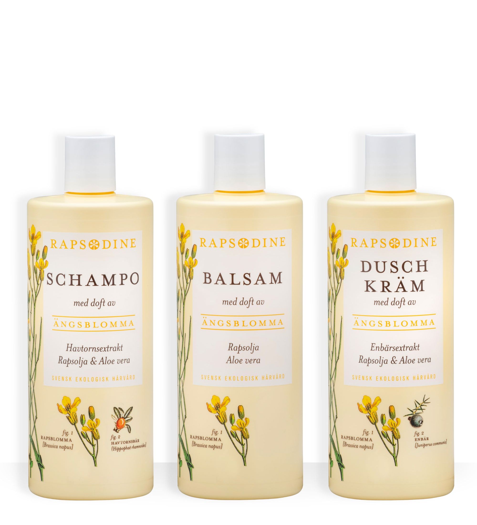 Rapsodines familjeduschkit med naturligt schampo, balsam och duschkräm med doft av ängsblomma