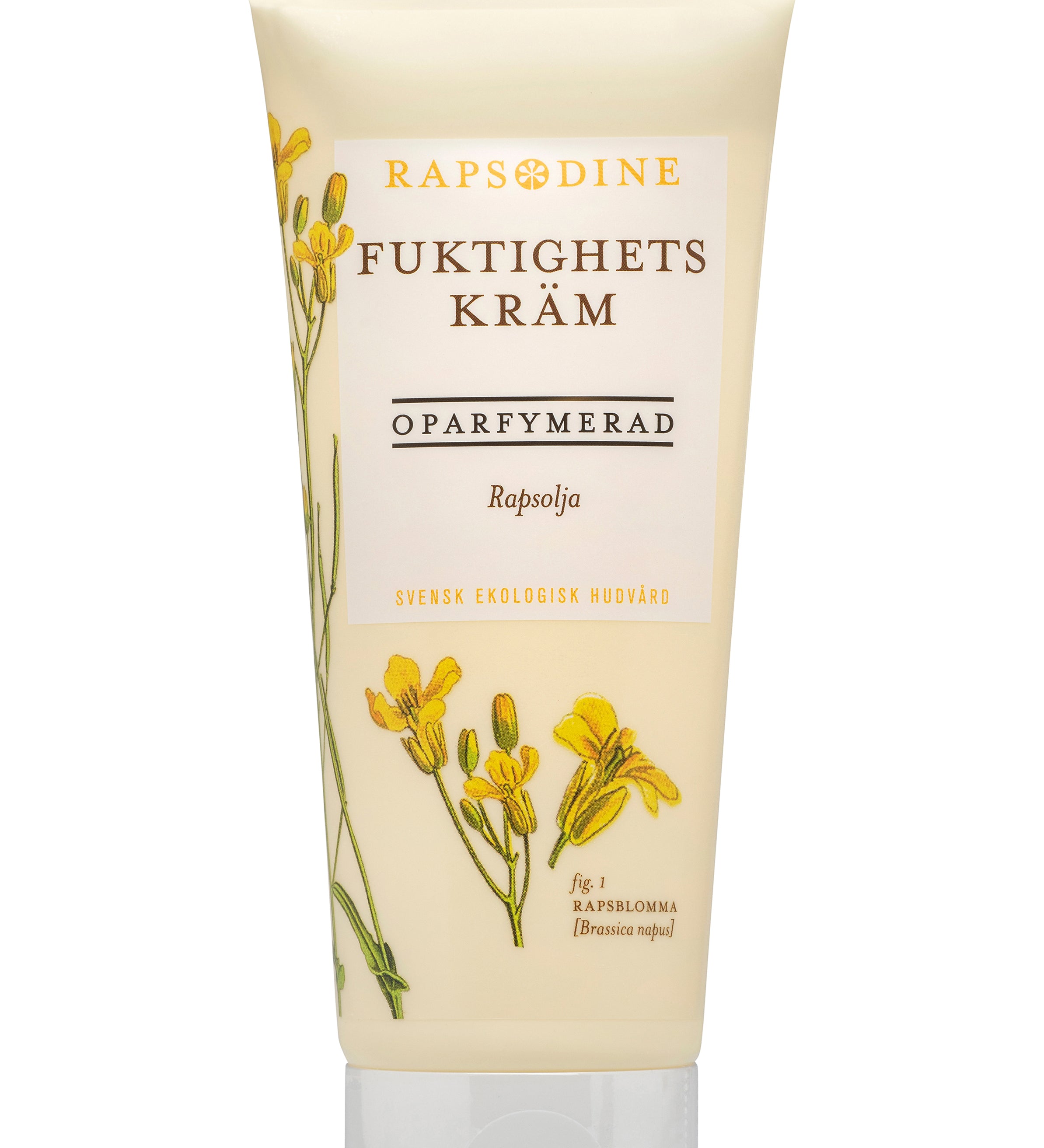 Svensk, ekologisk och vegansk fuktighetskräm, oparfymerad, 200 ml från Rapsodine