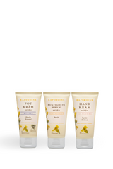 Trio KIT