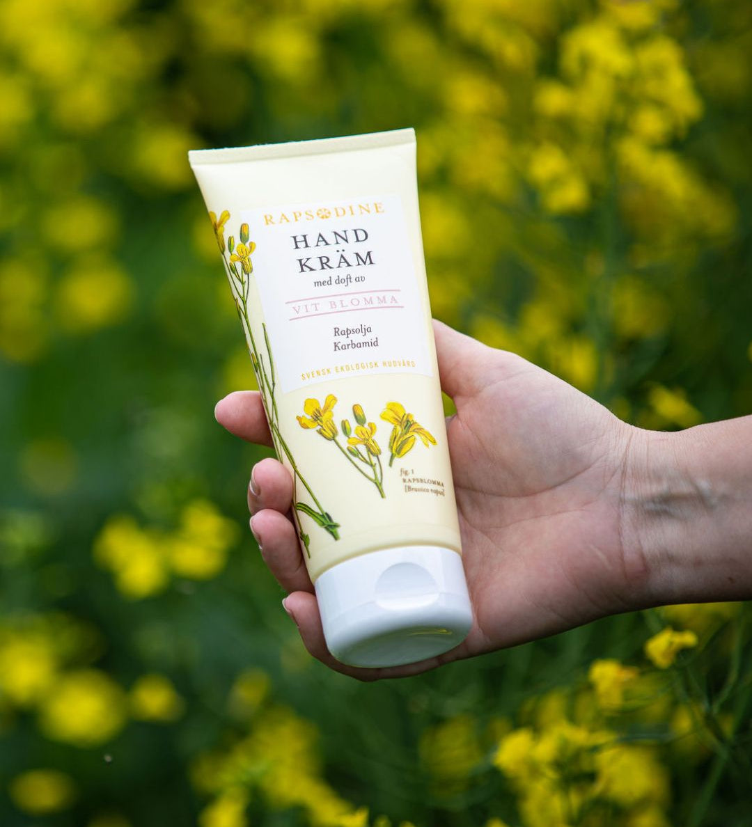 Ekologisk handkräm med doft av vit blomma från Rapsodine med rapsolja, naturlig hudvård i blommande rapsfält