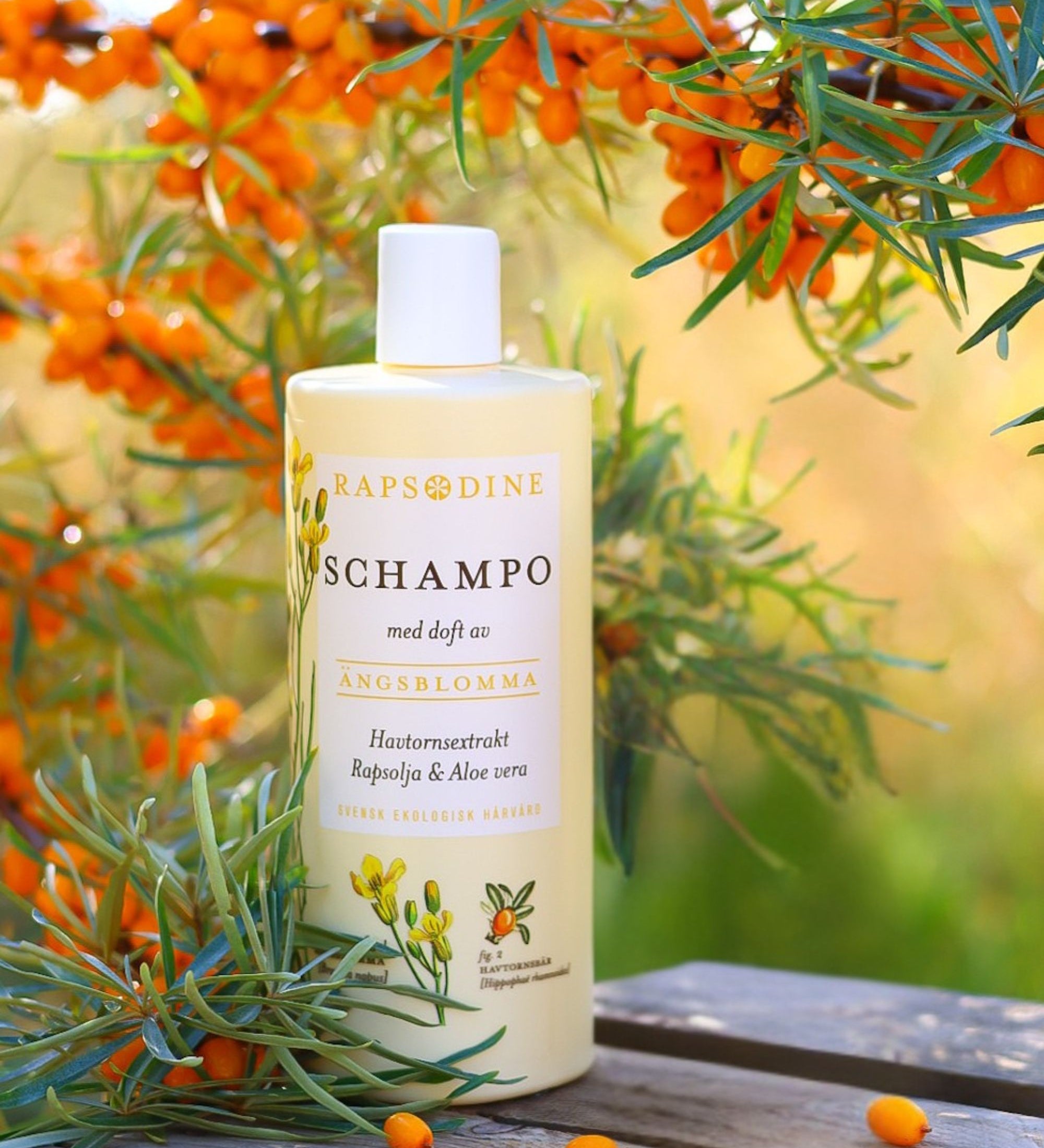Ekologiskt schampo med havtorn från Rapsodine med rapsolja och aloe vera, naturlig hårvård i Sverige