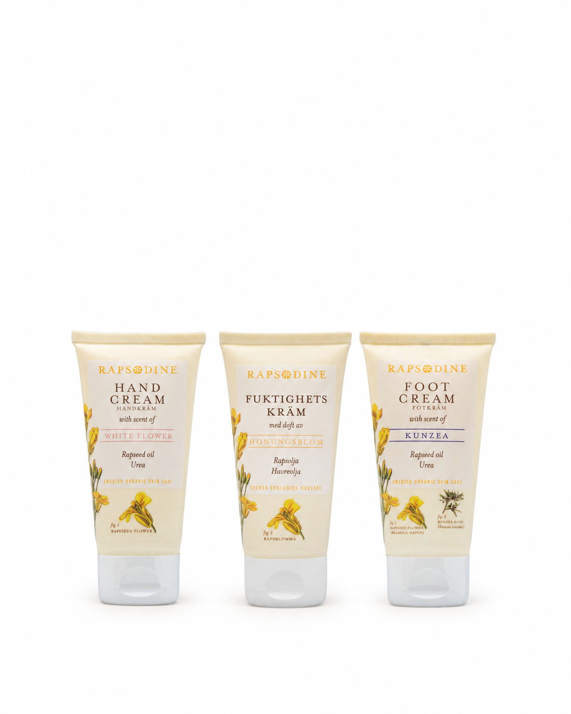 Trio KIT
